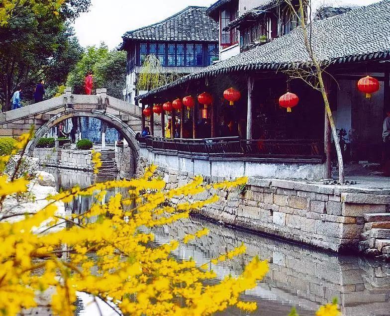 机智问答网页——解答疑惑,快速高效,拍卖和变卖有何区别?专业解答